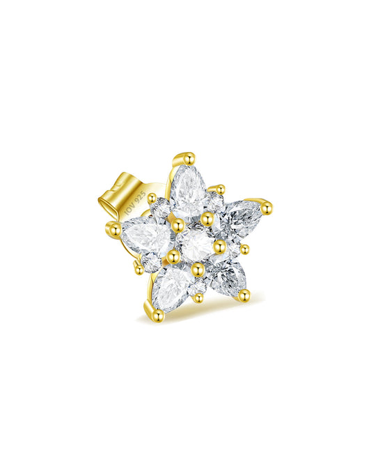 CZ cluster os pear and round stones stud earring.