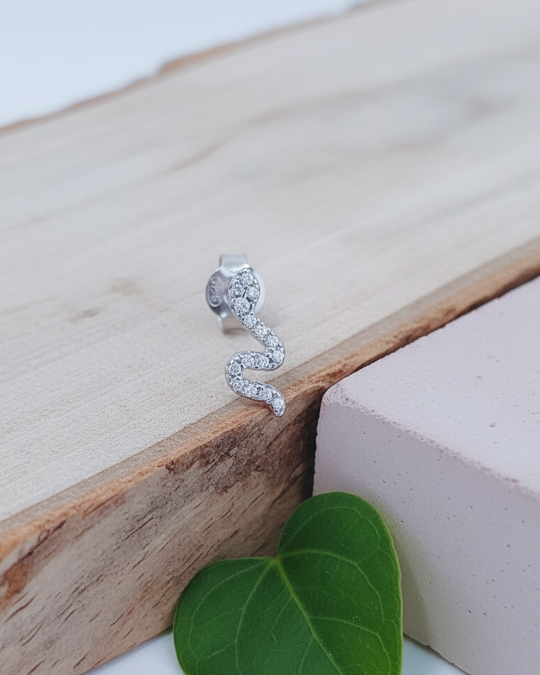small snake shape with CZ stud earring.
