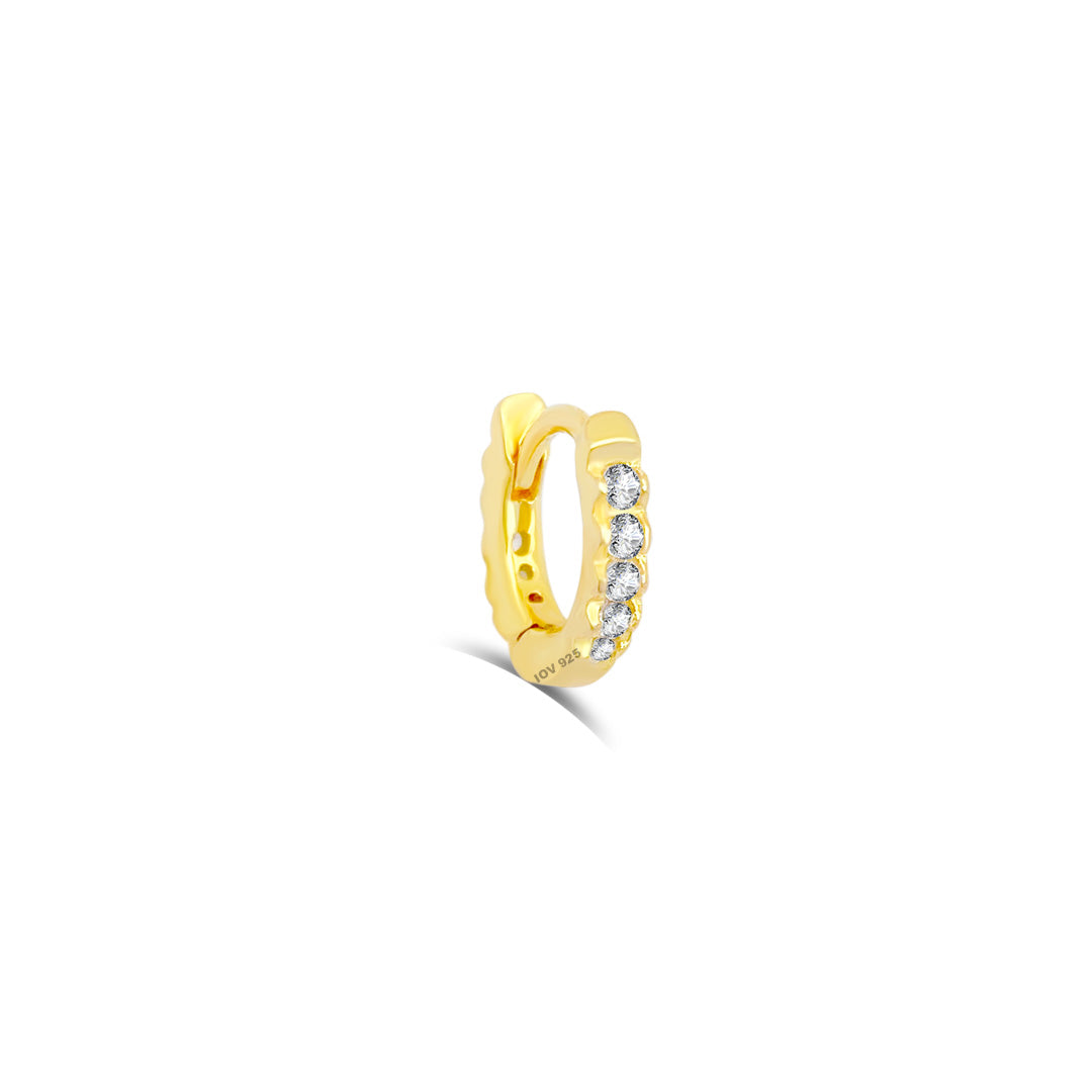 6 mm hoops earring.