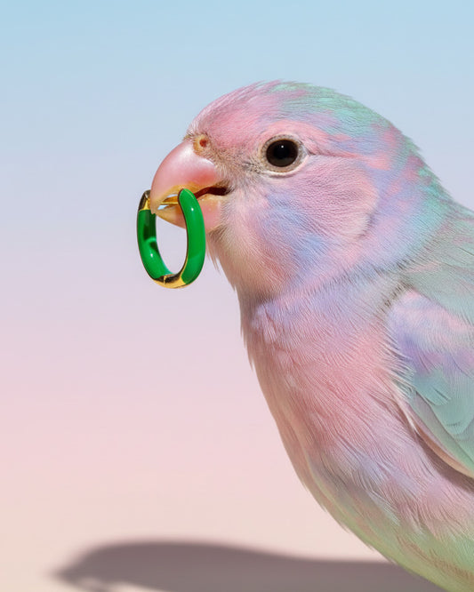 enamel rectangular shape hoops.