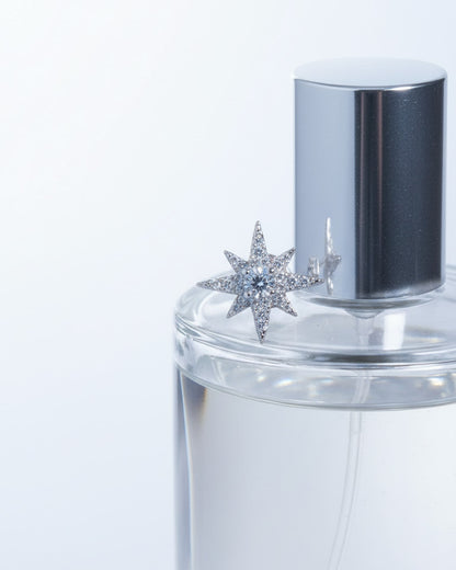 CZ star shape stud earring.