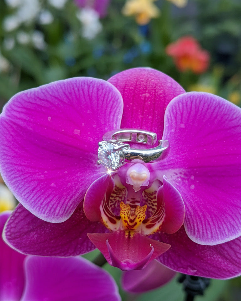 plain clip-on ear-cuff with single CZ stone.