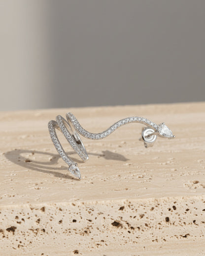 snake shape climber style earring and cuff earring.