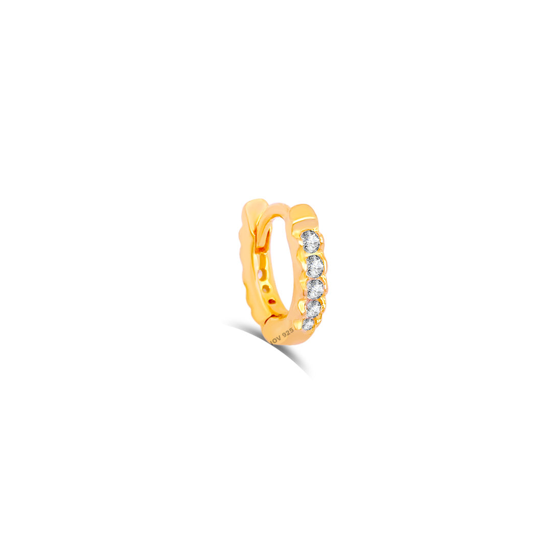 6 mm hoops earring.
